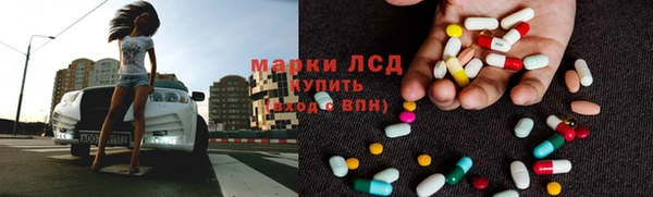 СК Зеленокумск