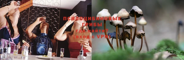 СК Зеленокумск