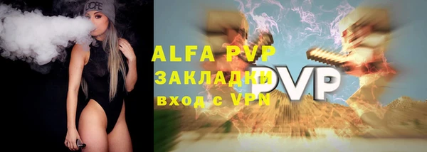 apvp Инта