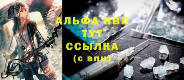 apvp Инта