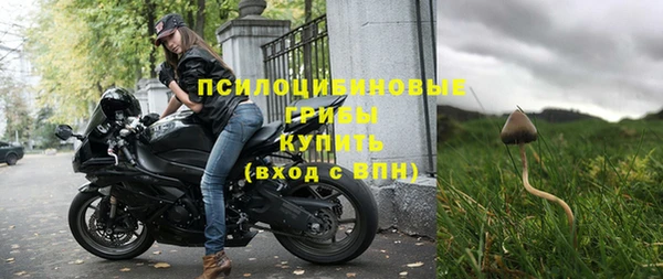 бутират Инсар